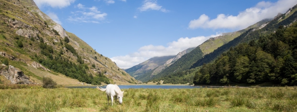 Protégé : Hautes Pyrénées